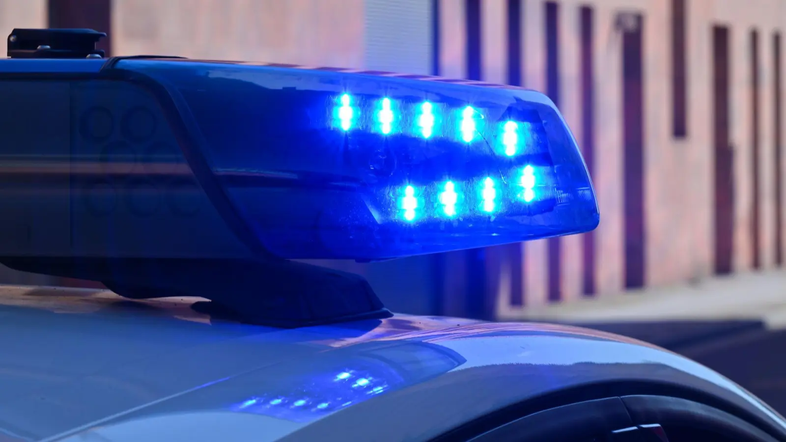 Die Verdächtigen sollen Diesel aus Firmenfahrzeugen in Kanister abgezapft haben. (Symbolbild) (Foto: Patrick Pleul/dpa)