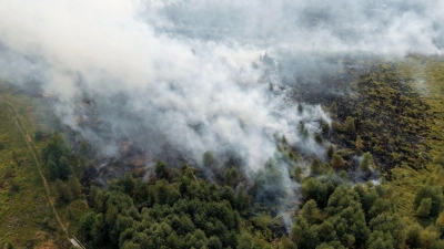 Rauchschwaden ziehen über den großen Waldbrand im Hohen Venn hinweg. (Foto: Kevin Schößler/dpa)