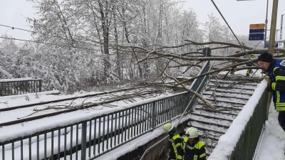 Ein umgestürzter Baum an der S-Bahnhaltestelle St. Koloman in Wörth sorgt für Verletzungen. (Foto: Bundespolizei/dpa)