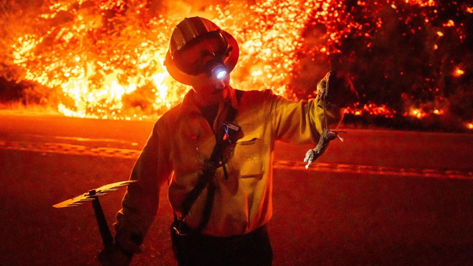 Waldbrände in Kalifornien beeinträchtigen auch den Tourismus.  (Foto: Ethan Swope/FR171736 AP/AP/dpa)
