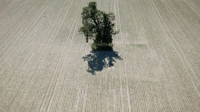 Der DWD wertet für seine Bilanz mehr als 2.000 Messstationen aus. (Archivbild) (Foto: Boris Roessler/dpa)