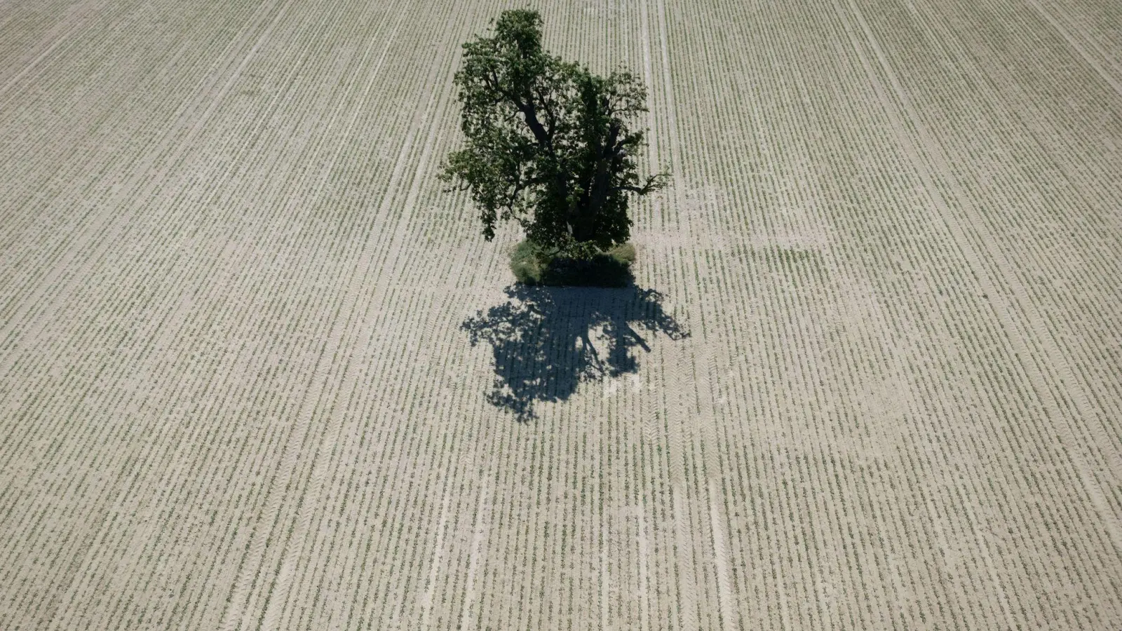 Der DWD wertet für seine Bilanz mehr als 2.000 Messstationen aus. (Archivbild) (Foto: Boris Roessler/dpa)