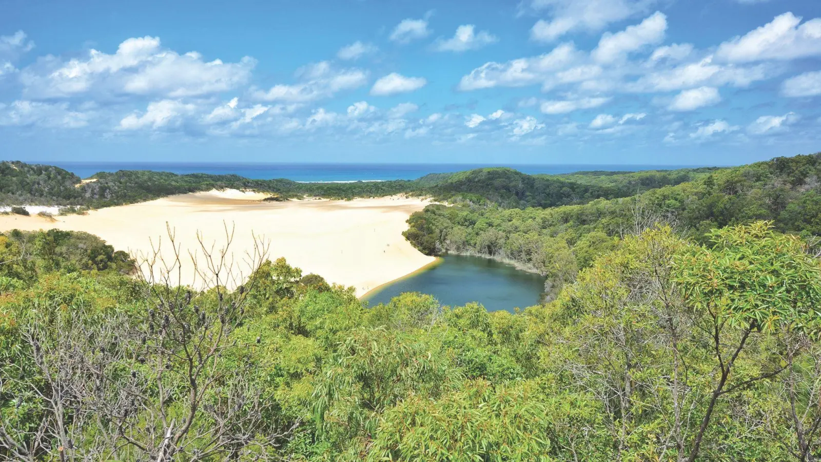 Blick über K&#39;gari: Die weltgrößte Sandinsel vor der Küste von Queensland trägt nun auch offiziell wieder ihren ursprünglichen Namen. (Foto: Reichlyn Aguilar/AAP/dpa)