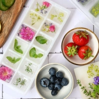 Durch schichtweises Einfrieren von Beeren, Blüten und Kräutern werden einfache Eiswürfel zu kleinen Kunstwerken. (Foto: Julia Uehren/loeffelgenuss.de/dpa-tmn)