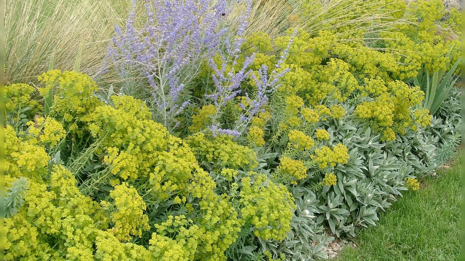 Staudenmischungen bringen Vielfalt und Dynamik in jeden Garten. (Foto: Bettina Banse/GMH/dpa-tmn)