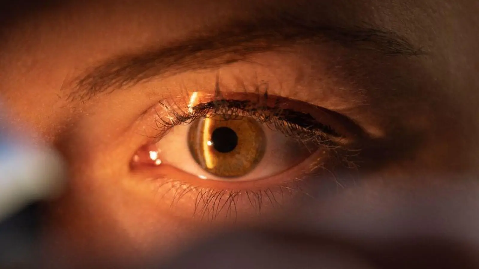 Hoher Blutdruck könnte sich auch auf die Augen auswirken – deswegen auch mal die Augen checken lassen. (Foto: Marijan Murat/dpa/dpa-tmn)