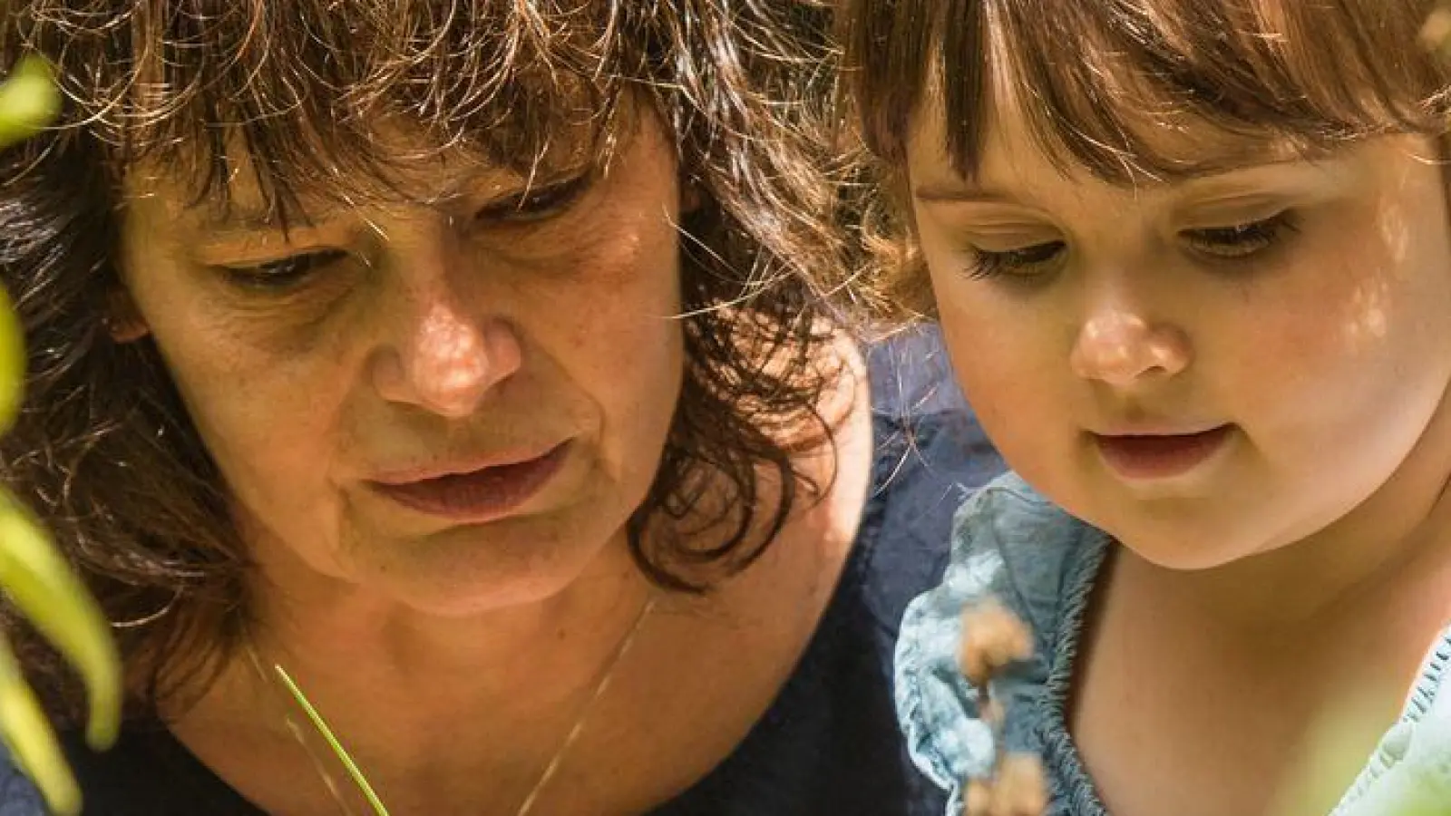 Klare Zonen schaffen: Spielbereich, Naschgarten, Blumenbeete und Kräutergarten sorgen für Struktur und Sicherheit im Garten. (Foto: Christin Klose/dpa-tmn)