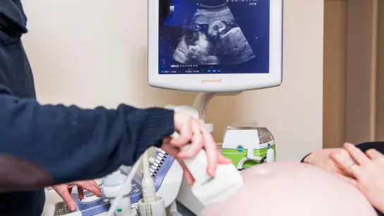 Ein Arzt untersucht eine schwangere Frau mit einem Ultraschallgerät während der Fötus im Mutterbauch auf einem Display zu sehen ist. (Foto: Jasper Jacobs/BELGA/dpa)