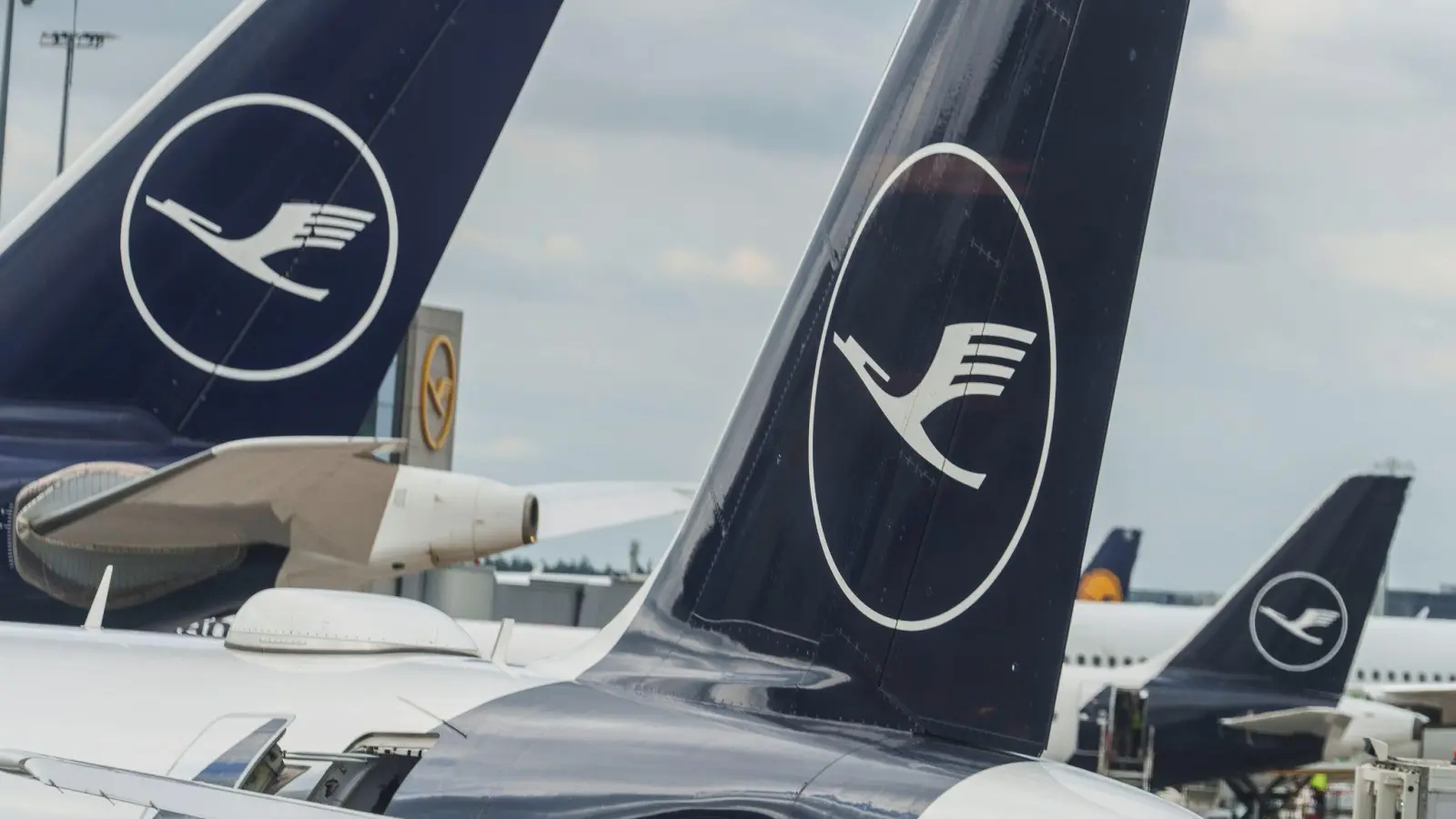Bei Lufthansa droht der nächste Piloten-Streik.  (Foto: Andreas Arnold/dpa)