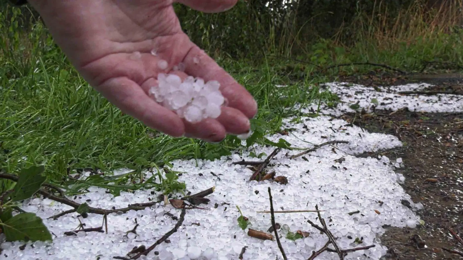 Große Hagelkörner kamen bei einem Unwetter in Mecklenburg-Vorpommern runter. (Foto: Ralf Drefin/SWM DV Studio/dpa)