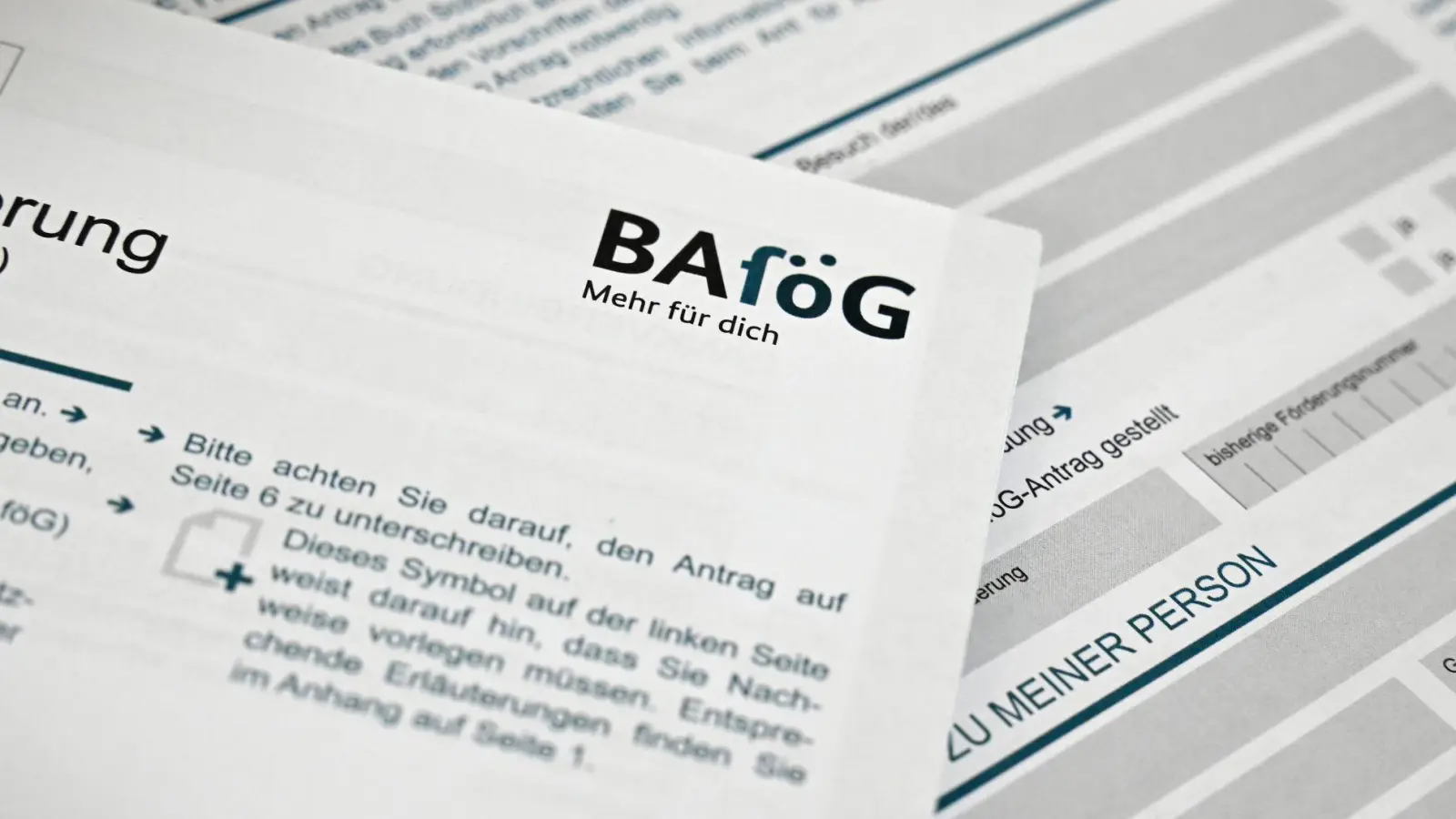 Durchschnittlich 635 Euro erhielten die Geförderten pro Monat im vergangenen Jahr. (Symbolbild) (Foto: Elisa Schu/dpa)