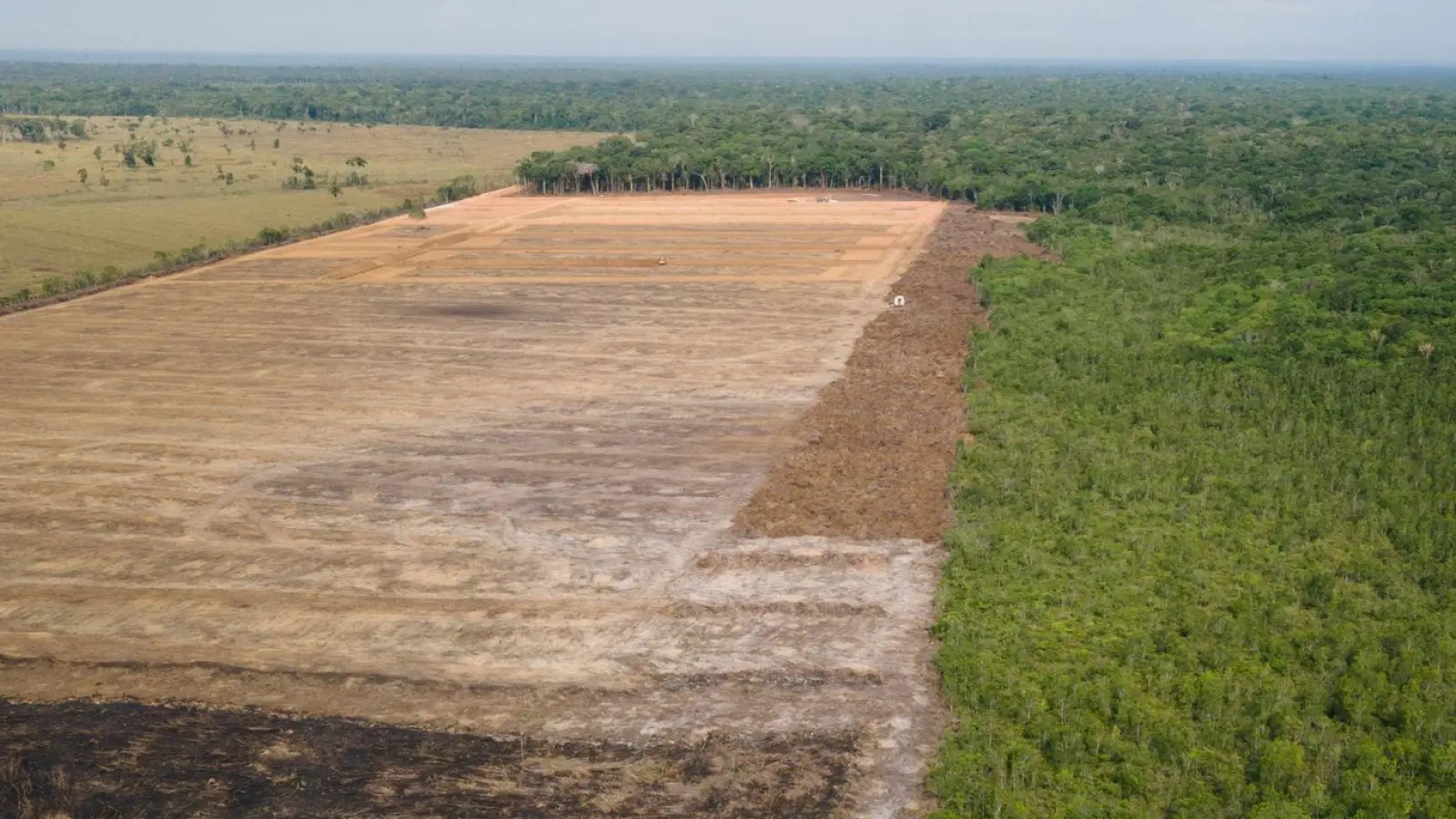 Das Luftbild zeigt eine verbrannte und abgeholzte Fläche im brasilianischen Amazonas-Gebiet. (Foto: Fernando Souza/Zuma Press/dpa)