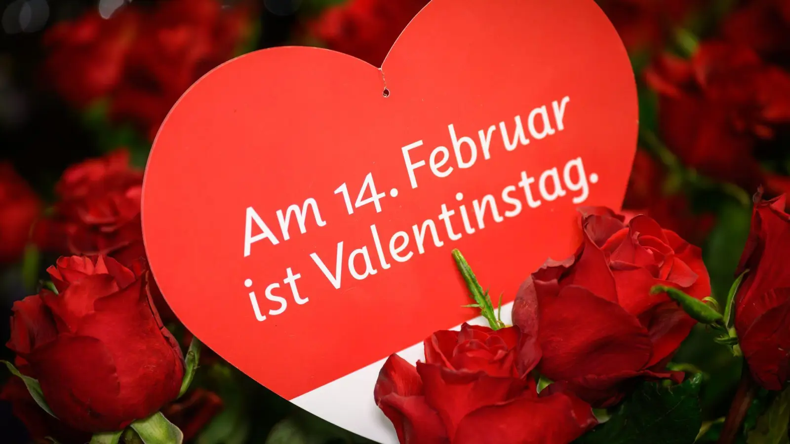 Der Valentinstag ist auch in Norwegen besonders. (Symbolbild) (Foto: Patrick Pleul/dpa)