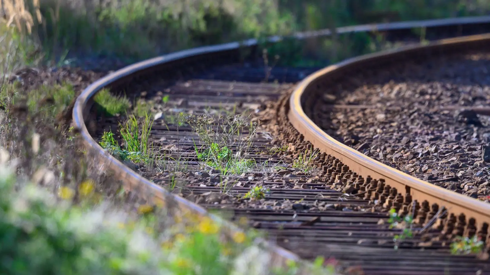 Die Fuchstalbahn wird seit 1984 nur noch für Güterzüge benutzt. (Symbolbild) (Foto: Jens Büttner/dpa-Zentralbild/dpa)