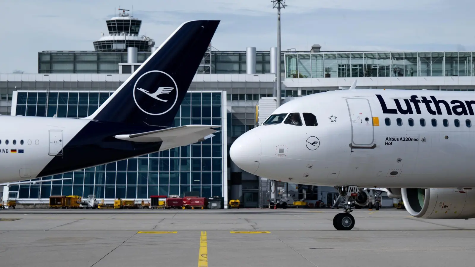 Lufthansa-Maschinen am Münchner Flughafen. (Symbolbild) (Foto: Sven Hoppe/dpa)