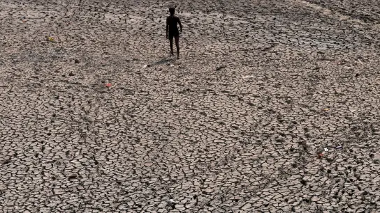 Die Klimakrise ist eine der größten globalen Herausforderungen. (Foto: Manish Swarup/AP/dpa)