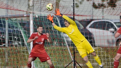 Die TSC-Defensive um Torhüter Simon Einzinger (hier in einem anderen Spiel) stand gegen Erlangen-Bruck sicher. (Foto: Martin Rügner)