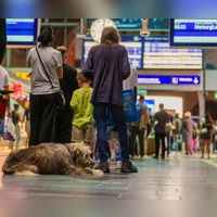 Nach der Störung bei der Deutschen Bahn läuft der Zugverkehr wieder an. Viele Fahrgäste fragen sich: Was gibt es nun für Entschädigungen? (Foto: Andreas Arnold/dpa/dpa-tmn)