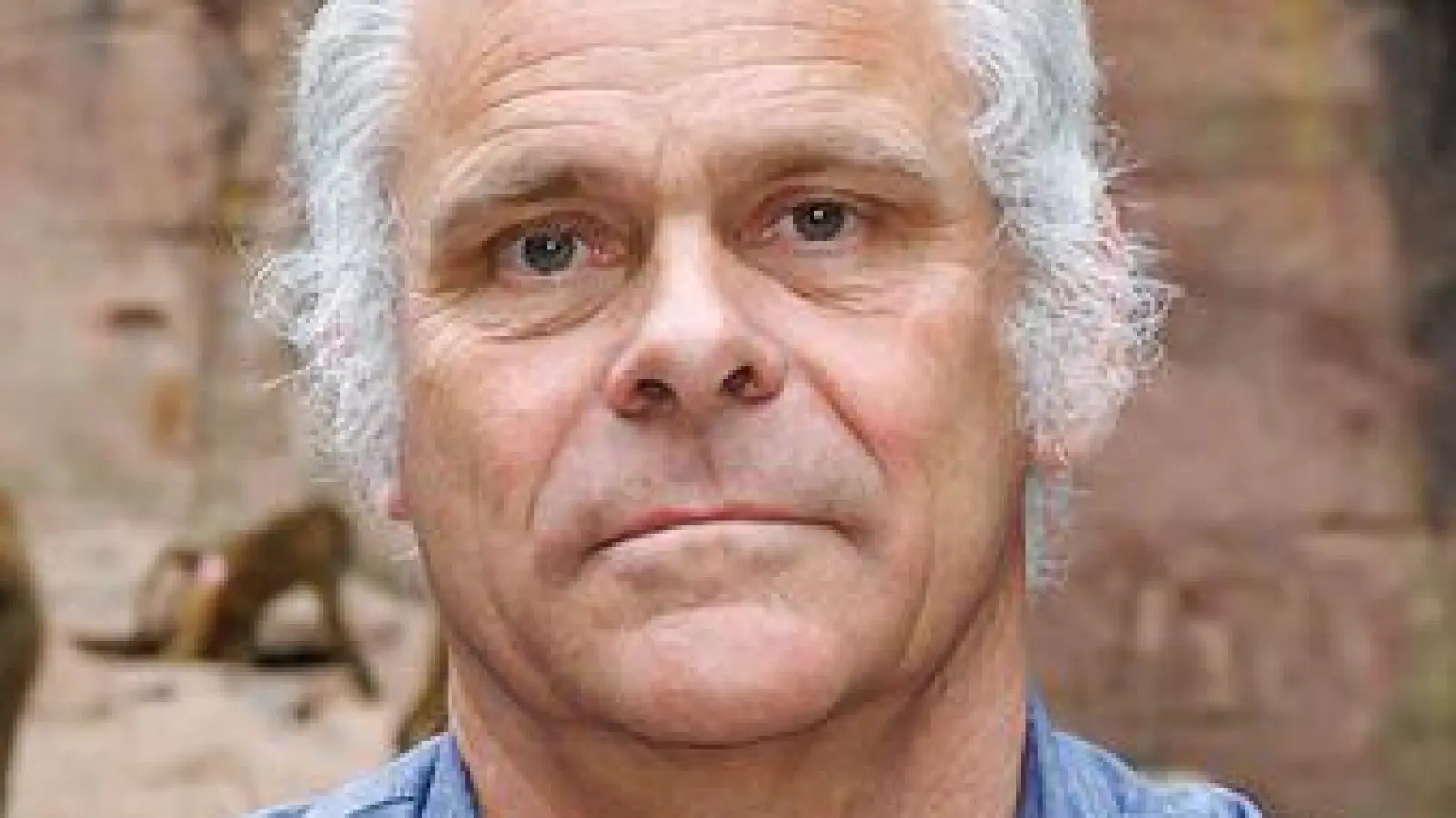 In den nächsten Jahren wird der Tiergarten nach Aussagen des Direktors wieder Paviane töten müssen.  (Foto: Daniel Karmann/dpa)