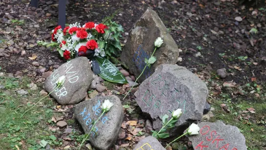 111 Gedenksteine in Erinnerung an jüdische Jugendliche, die von Buchenwald nach Auschwitz deportiert wurden, liegen in der Nähe damaligen der Bahnlinie. (Foto: Bodo Schackow/dpa)