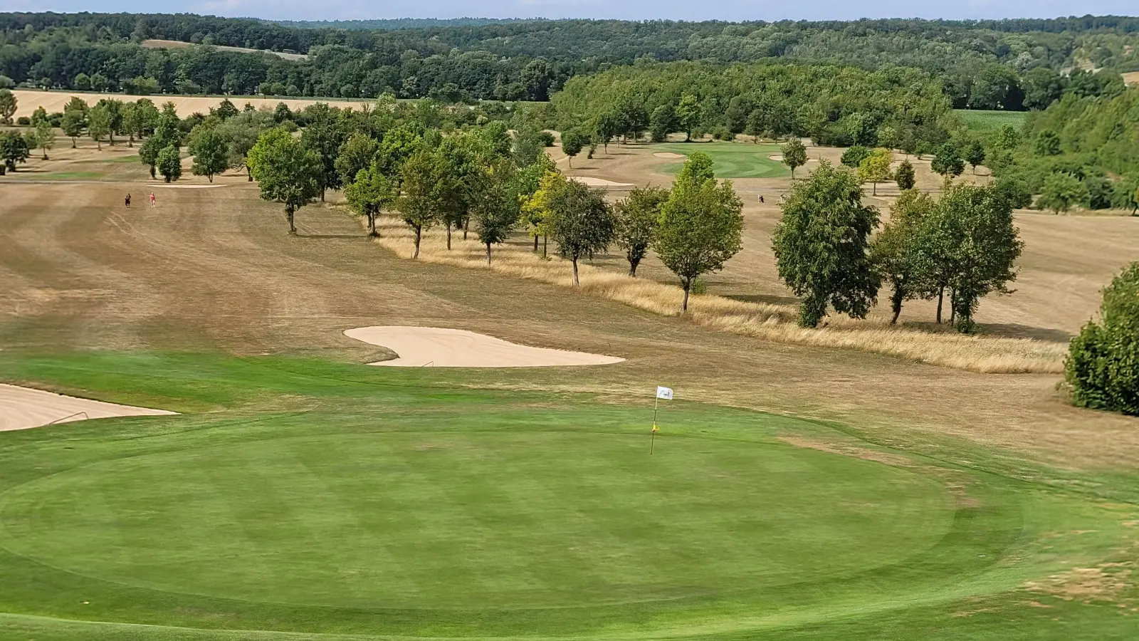 Bei lang anhaltender Hitze und Trockenheit werden lediglich rund drei der insgesamt 70 Hektar des Golfplatz-Areals bewässert. Der Rest wird sich selbst überlassen. (Foto: Nina Daebel)
