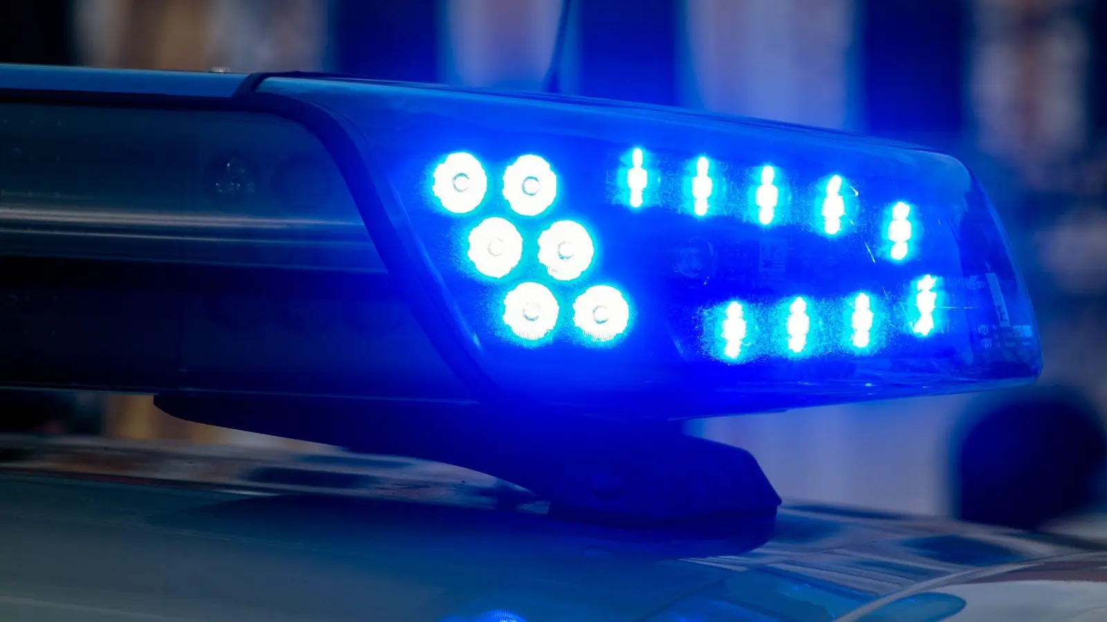 Die Polizei durchsucht Wohnung und Kellerräume der 42-Jährigen. (Symbolbild) (Foto: Klaus-Dietmar Gabbert/dpa-Zentralbild/dpa)