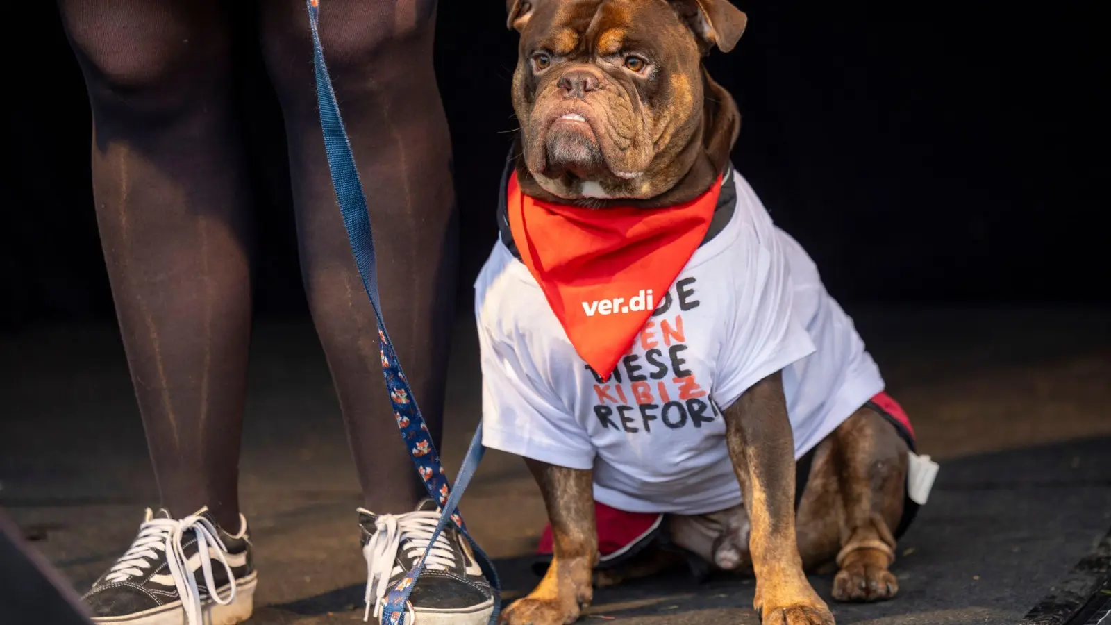 Hund Henry beim Verdi-Streik (Foto: Thomas Banneyer/dpa)