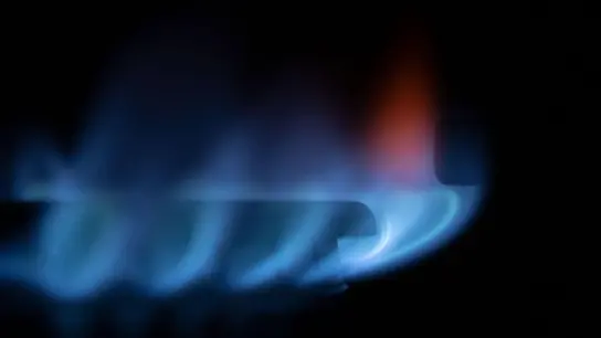 Zahlreiche blau-schimmernde Gas-Flämmchen sind an einem Gasherd zu sehen: Die Gasversorgung in Deutschland ist aufgrund der anhaltenden Ukraine-Krise weiterhin ein großes Thema. (Foto: Marijan Murat/dpa)