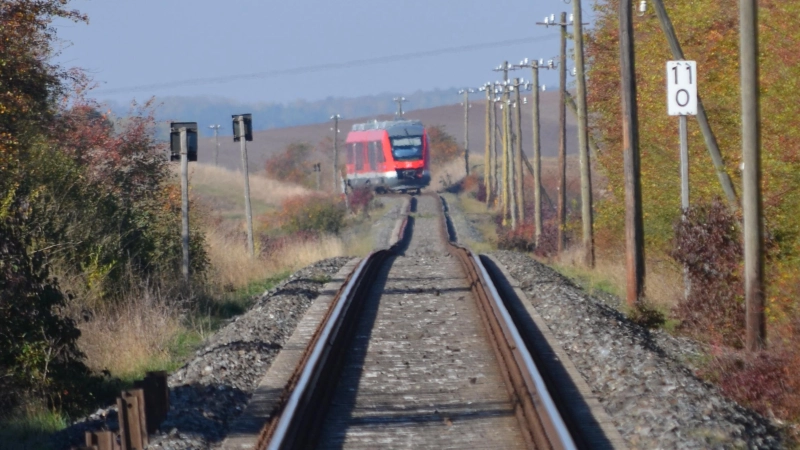 Auf der Aischgrundbahn waren für Wochen keine Zugfahrten möglich. (Archivbild: Johannes Hirschlach)