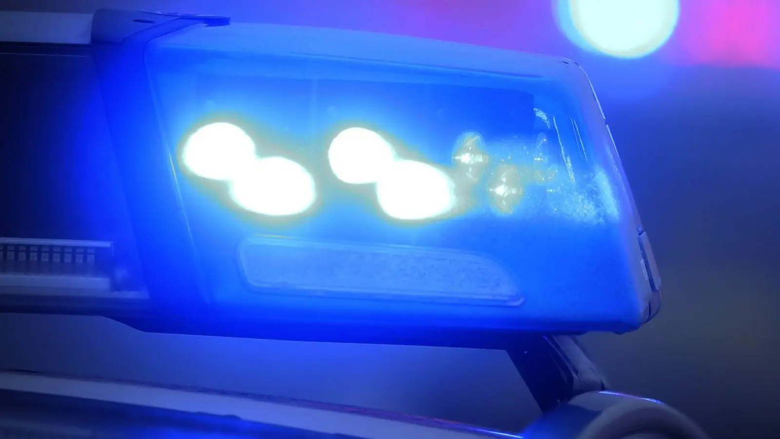 Die Beamten hielten den Lastwagen für eine Kontrolle an. (Symbolbild) (Foto: Karl-Josef Hildenbrand/dpa)