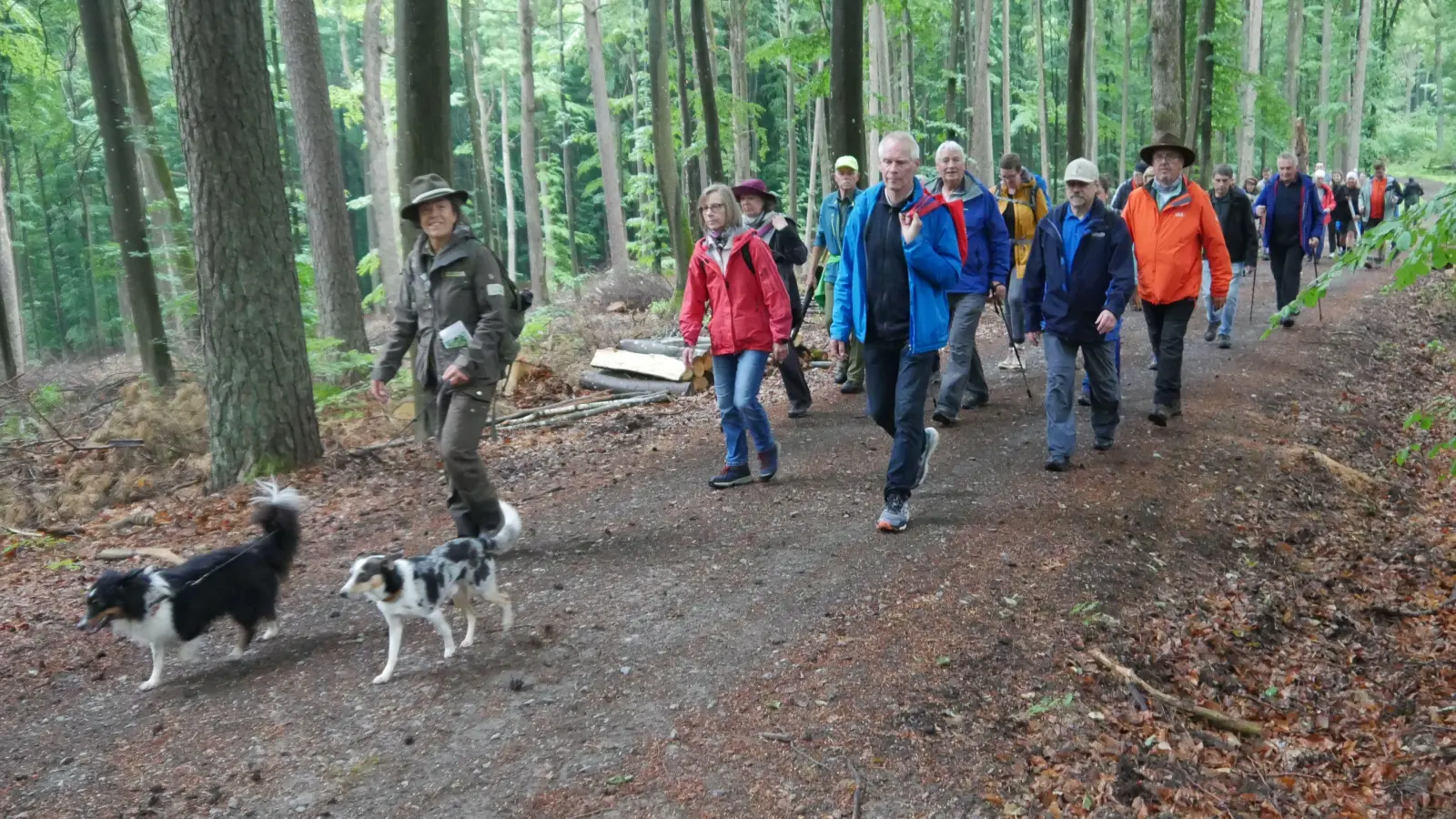 Die Wandergruppe angeführt von der Naturpark-Rangerin Alexandra Kellner. Sie wurde begleitet von ihren beiden Hunden. (Foto: Martina Hinkelmann)