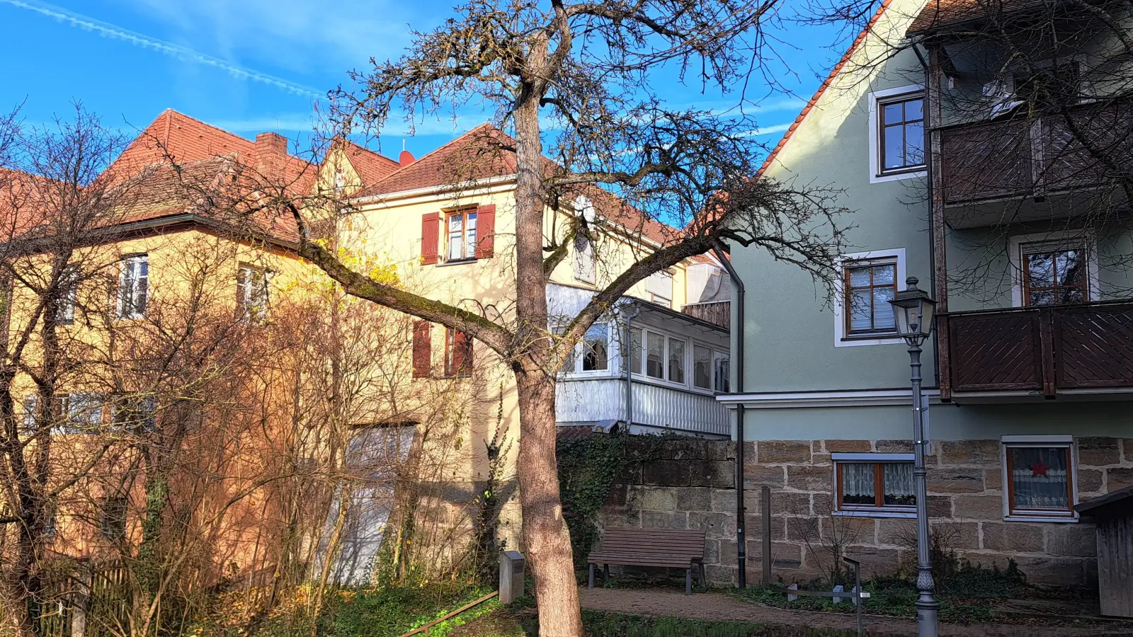 Mäßige Vitalität, starke Totholzbildung und Faulstellen: Eine Holzbirne, die direkt am Eingang des Stadtgrabens stand, gehörte zu den Bäumen, die aus Sicherheitsgründen entfernt werden sollen. Der Baum ist mittlerweile gefällt. (Foto: Florian Schwab)