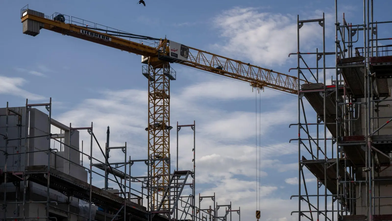 Ein Turmdrehkran ragt in den Himmel auf einer Baustelle zwischen neu errichteten Wohnhäusern: Die mittelständische Bauwirtschaft kämpft mit Problemen. (Foto: Monika Skolimowska/dpa)