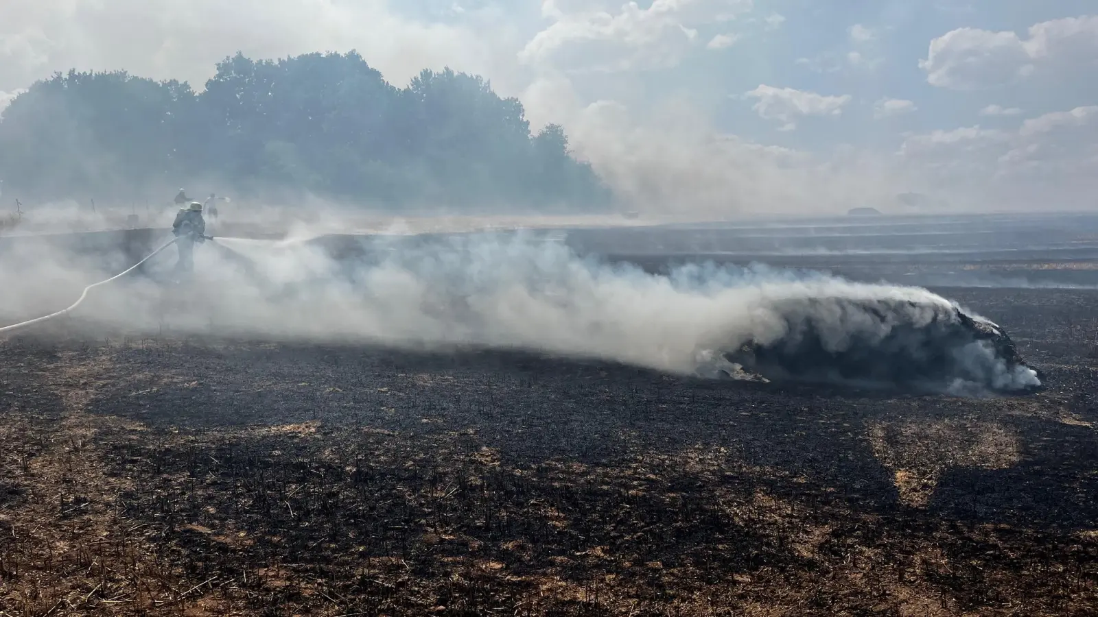 Mehrere Feuerwehren kämpften bei Weidendorf gegen den Brand einer Ackerfläche. (Foto: Johannes Flierl)