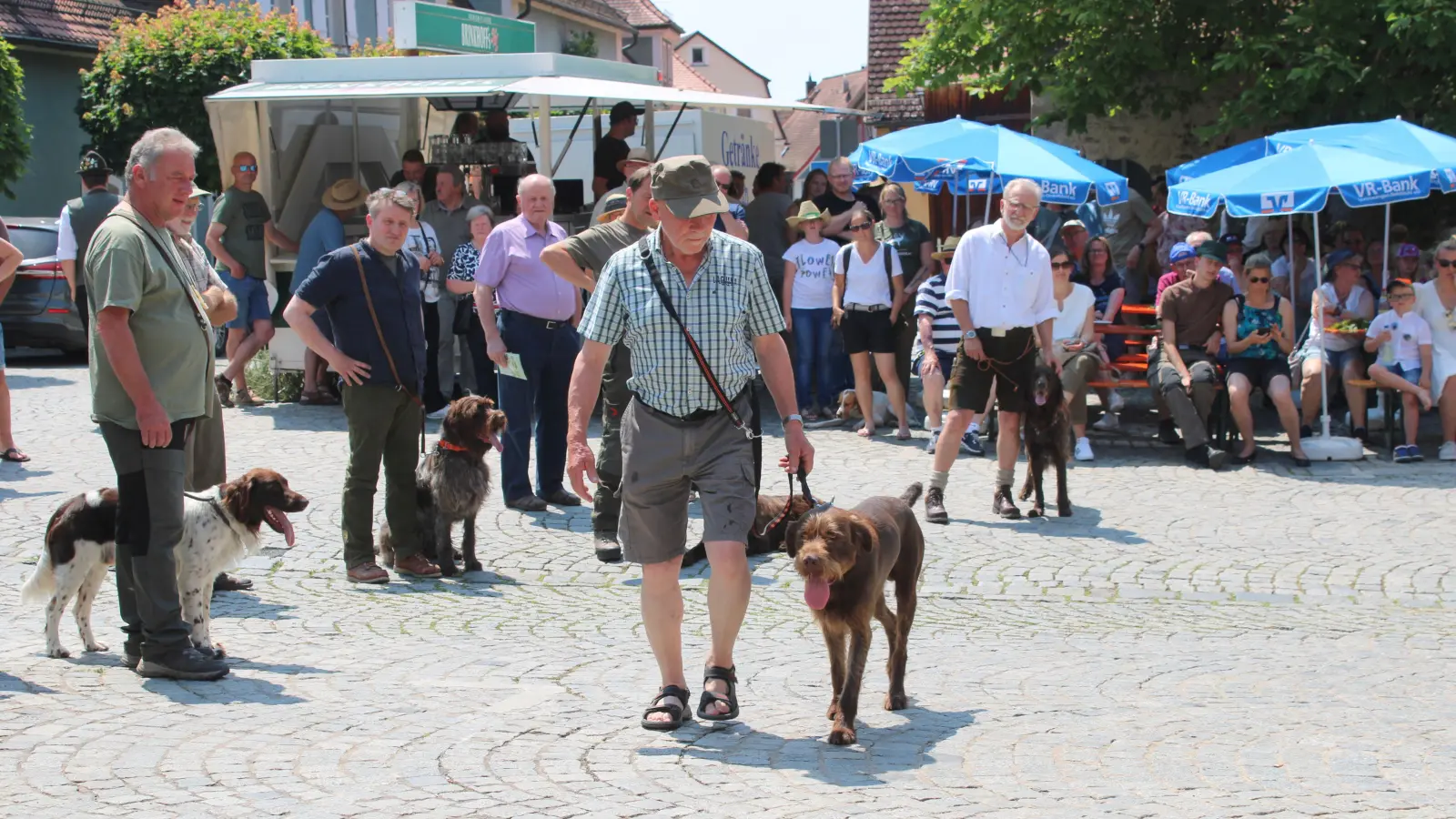 Bei der Jagdhundeschau in Feuchtwangen wurden 22 Hunde von 15 verschiedenen Rassen vorgeführt. (Foto: Herbert Dinkel)