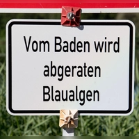 Das Gesundheitsamt warnt vor dem Baden. (Symbolbild) (Foto: Julian Stratenschulte/dpa)