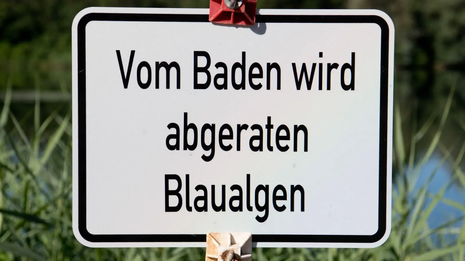 Das Gesundheitsamt warnt vor dem Baden. (Symbolbild) (Foto: Julian Stratenschulte/dpa)