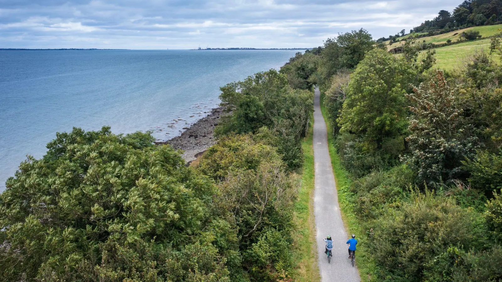 Am Wasser entlang: Der Weg führt entlang der Carlingford Lough, einer langgezogenen Bucht im Osten der Insel. (Foto: Paul Lindsay/Tourism Ireland/dpa-tmn)