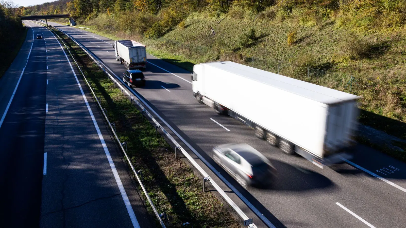 Um ihre Katze zu finden, hat eine Familie in Frankreich ihren Urlaub abgesagt und die Zeit an einer Autobahnraststätte verbracht. (Symbolbild) (Foto: Philipp von Ditfurth/dpa)