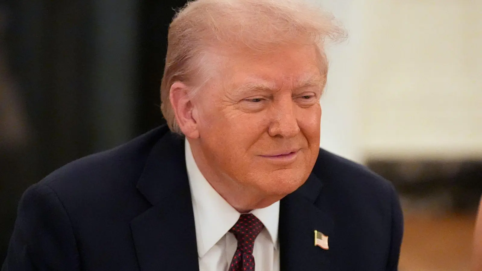 Donald Trump sieht in der Milliardenstrafe gegen Google vor allem eine Attacke auf ein US-Unternehmen. (Archivbild) (Foto: Alex Brandon/AP/dpa)