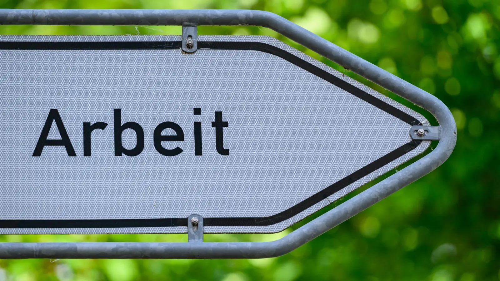 Zugewanderte Fachkräfte zieht es einer Studie zufolge deutlich häufiger in Stadtstaaten und westdeutsche Bundesländer. (Symbolbild) (Foto: Patrick Pleul/dpa)