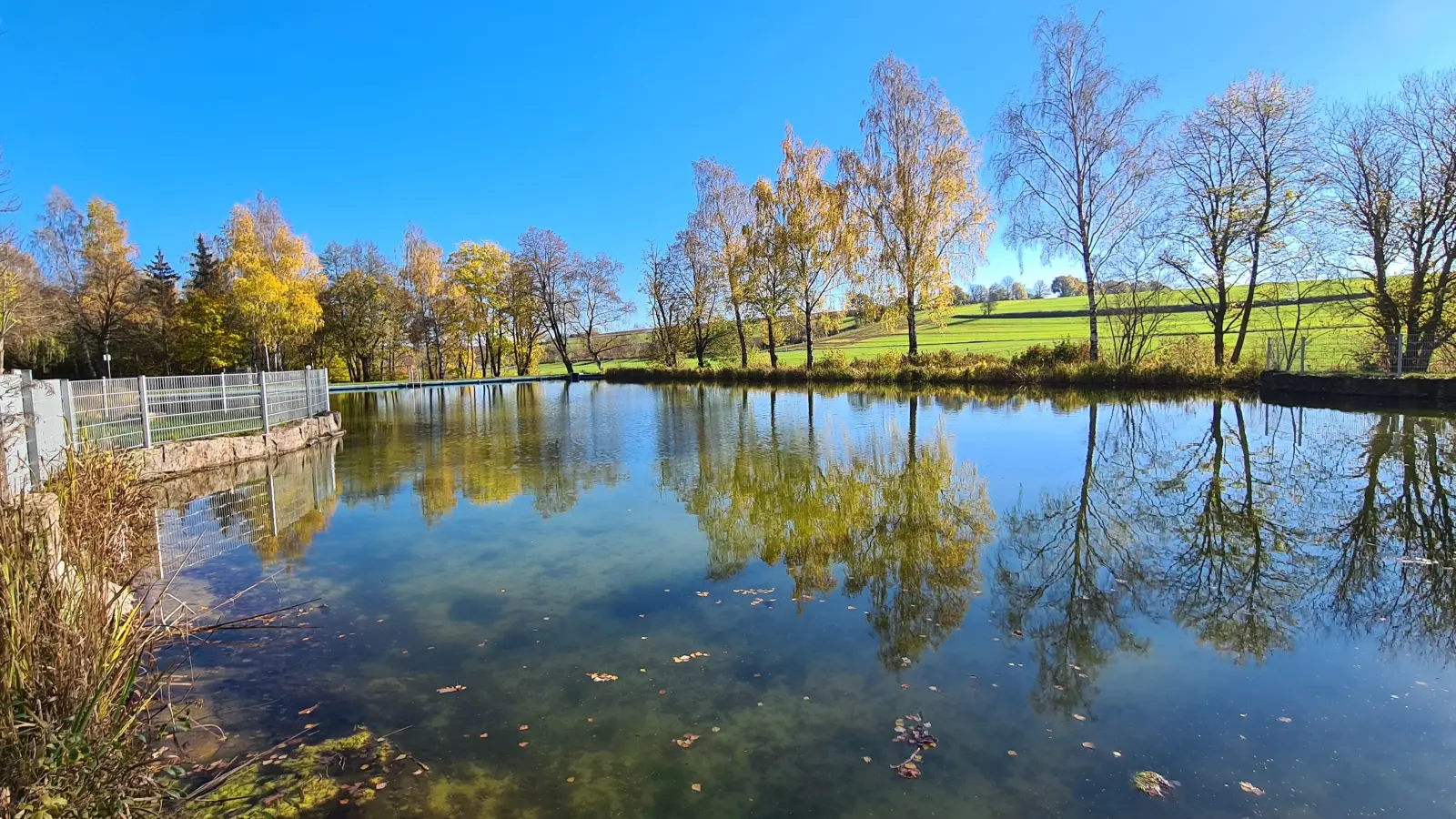 Vom Naturbadeweiher Nordenberg startet der Barfuß- und Naturerlebnispfad Windelsbach. (Archivbild: Margit Schwandt)