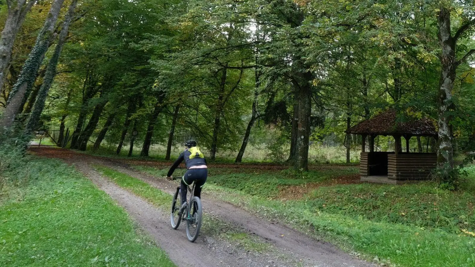 Allein auf weiter Flur? Nicht immer: Auch auf Wirtschaftswegen kann es weitere Verkehrsteilnehmer geben, auf die Rücksicht zu nehmen ist. (Foto: Bernd Weißbrod/dpa/dpa-tmn)