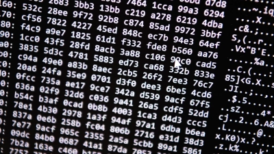 Die Ermittler vermuten eine hohe Dunkelziffer bei Opfern des Cyberbetrugs. (Symbolbild) (Foto: Nicolas Armer/dpa)