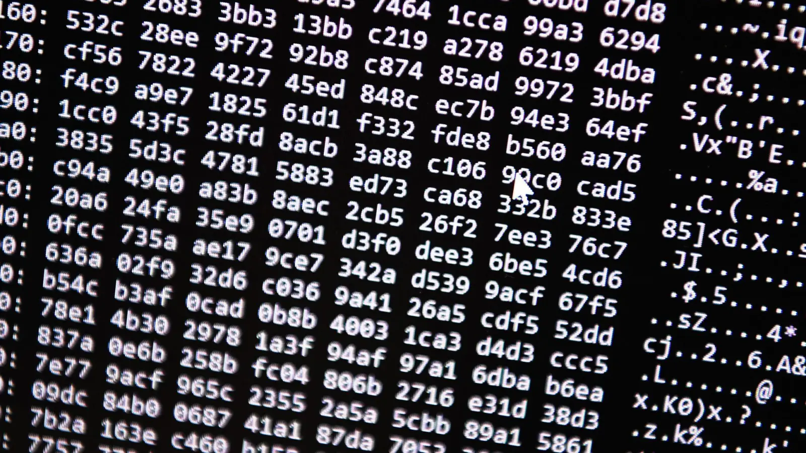 Die Ermittler vermuten eine hohe Dunkelziffer bei Opfern des Cyberbetrugs. (Symbolbild) (Foto: Nicolas Armer/dpa)