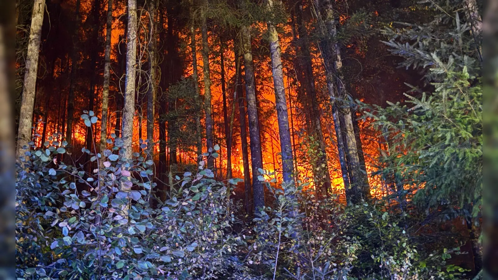 In mehreren Regionen kämpfen Feuerwehrleute gegen Flammen.  (Foto: Marius Daute/Feuerwehr Rottweil/dpa)