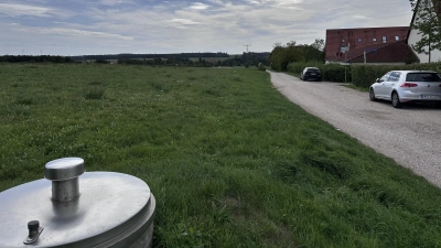 Auf der Grünfläche, die an das Baugebiet Grillenbuck angrenzt, soll der neue THW-Bundesstandort in Dinkelsbühl entstehen. (Foto: Martina Haas)