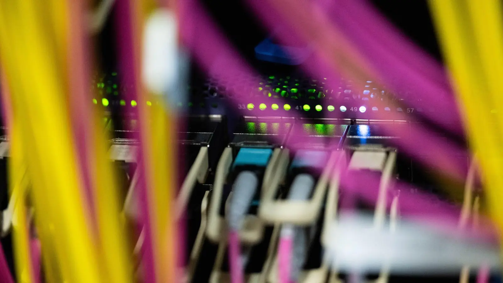 „Blue Swan“ soll noch Bayern kommen - ob die EU-Kommission dem Wunsch der Staatsregierung entspricht, muss sich aber zeigen. (Illustration) (Foto: Marijan Murat/dpa)