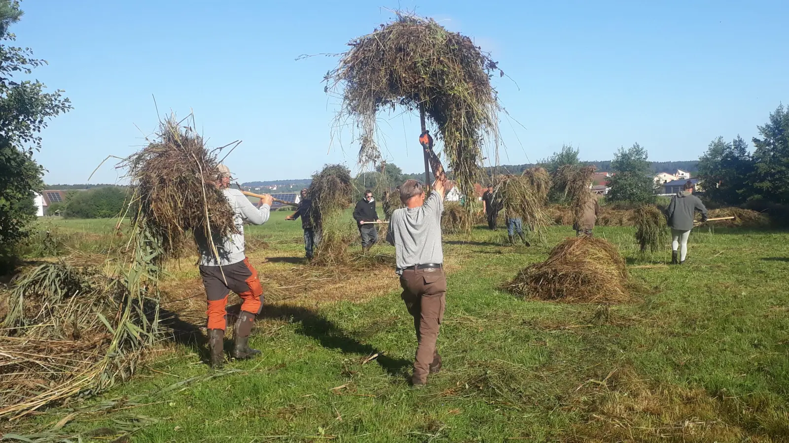 Die Moorwiesenpflege am Sonnensee ist Lebensraum für zahlreiche Arten. (Foto: Katja Meßlinger)