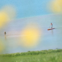 Ein SUP-Fahrer ist auf dem Forggensee unterwegs. (Archivbild) (Foto: Karl-Josef Hildenbrand/dpa)